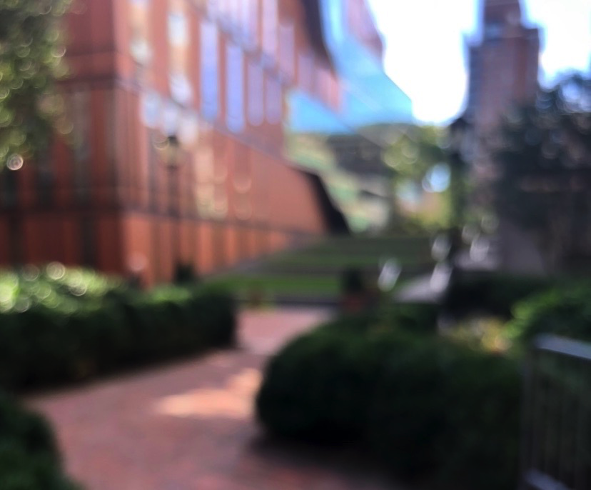 Why I Chose Barnard in Regular Decision: Lindsey's Story