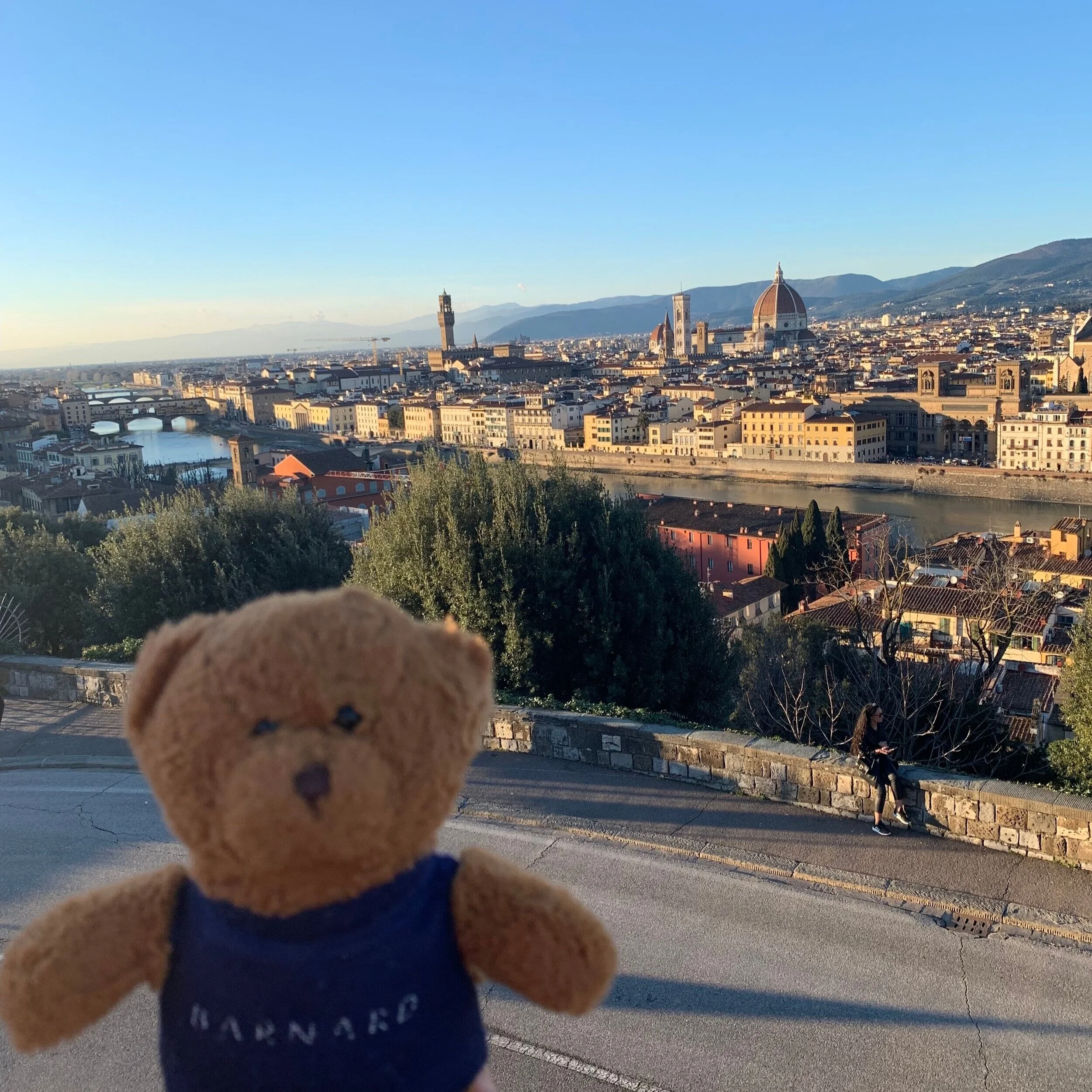 Study Abroad, Interrupted