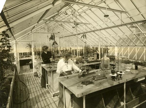 Students conduct experiments in the greenhouse, circa 1912