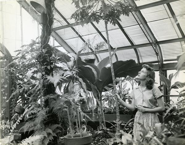 Botany student in greenhouse, May 1944