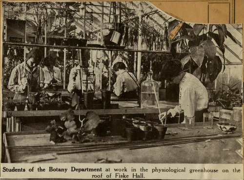 Page about the greenhouse from Dorothy Oak's scrapbook, 1913-1920