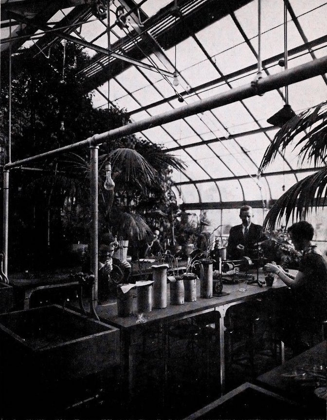 Students and professor in greenhouse, 1936