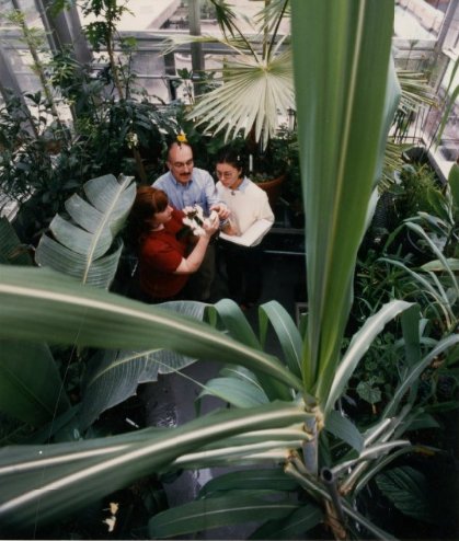 Barnard greenhouse, circa 1990s