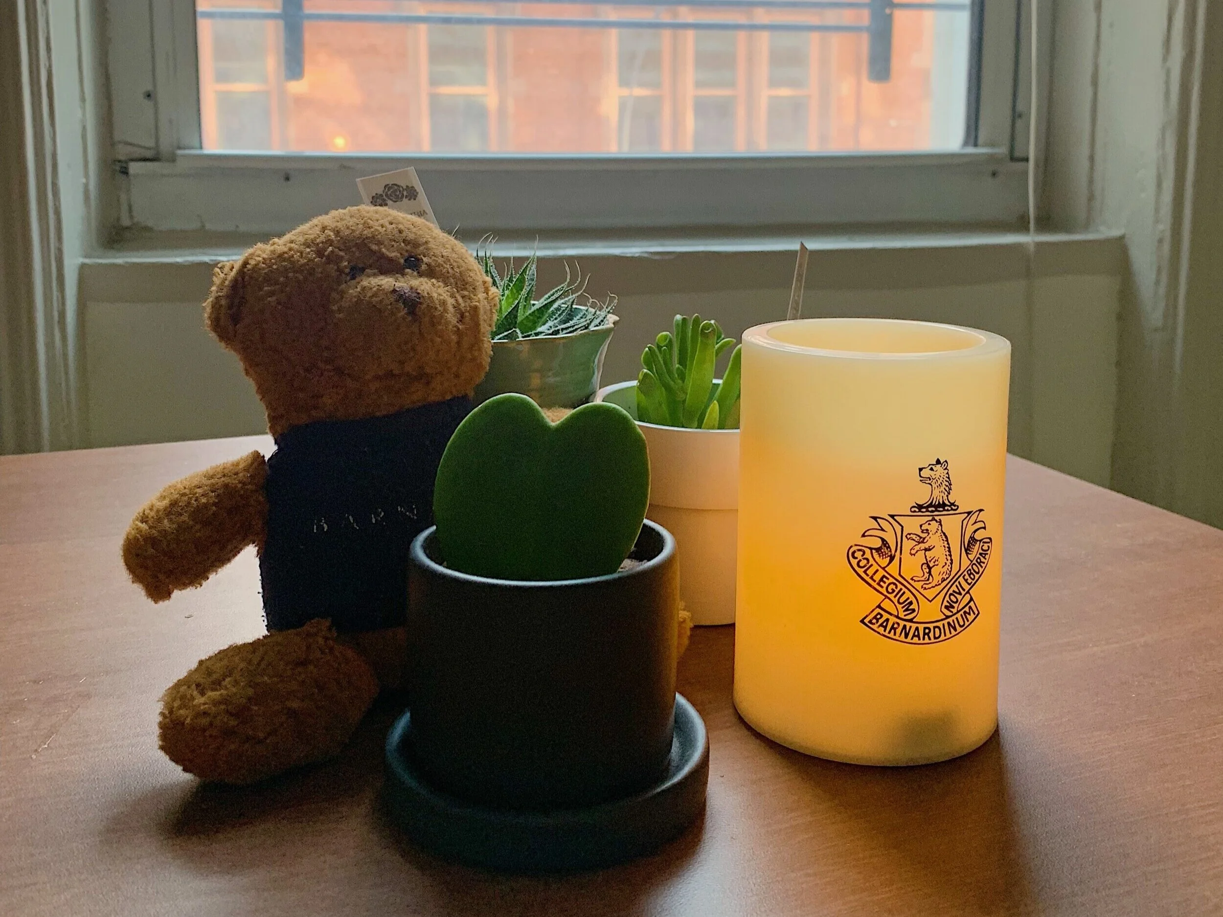 Barnard, Thirteen Months Later