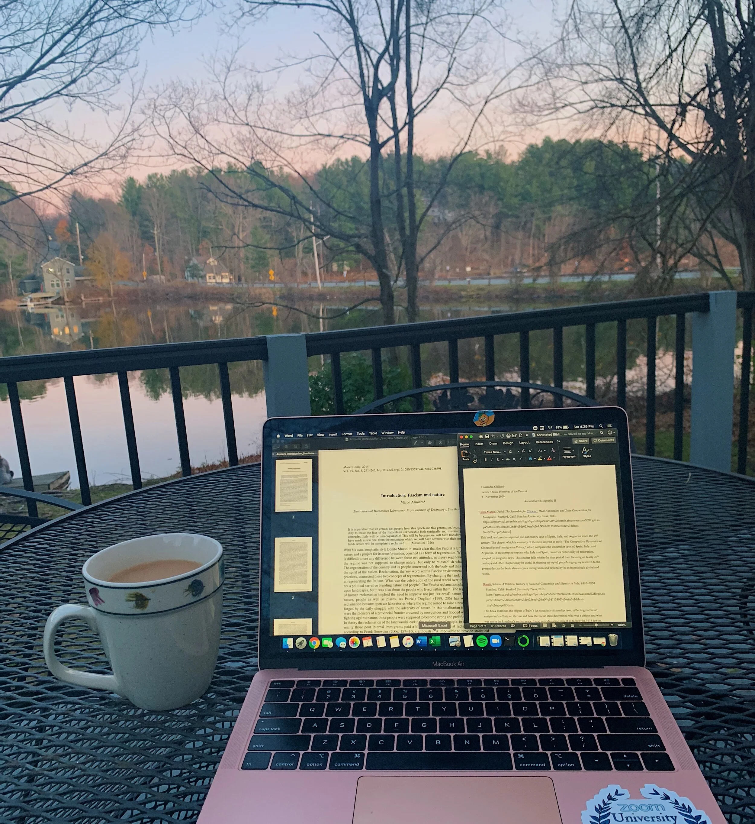 Senior Thesis: Histories of the Present