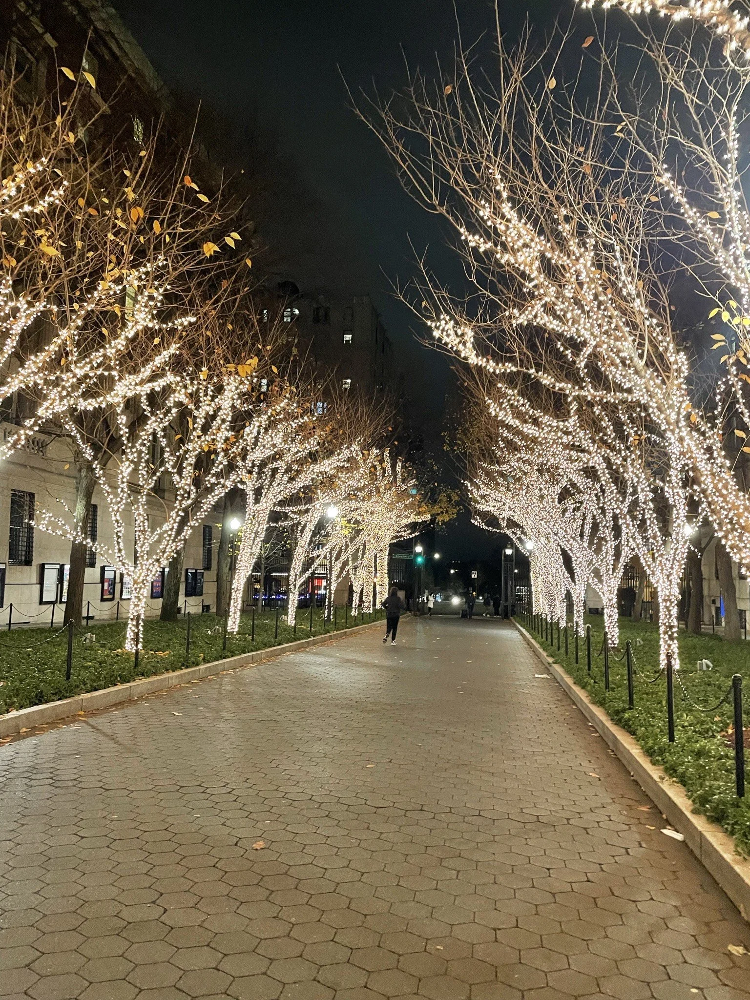 Major Spotlight: Neuroscience and Philosophy