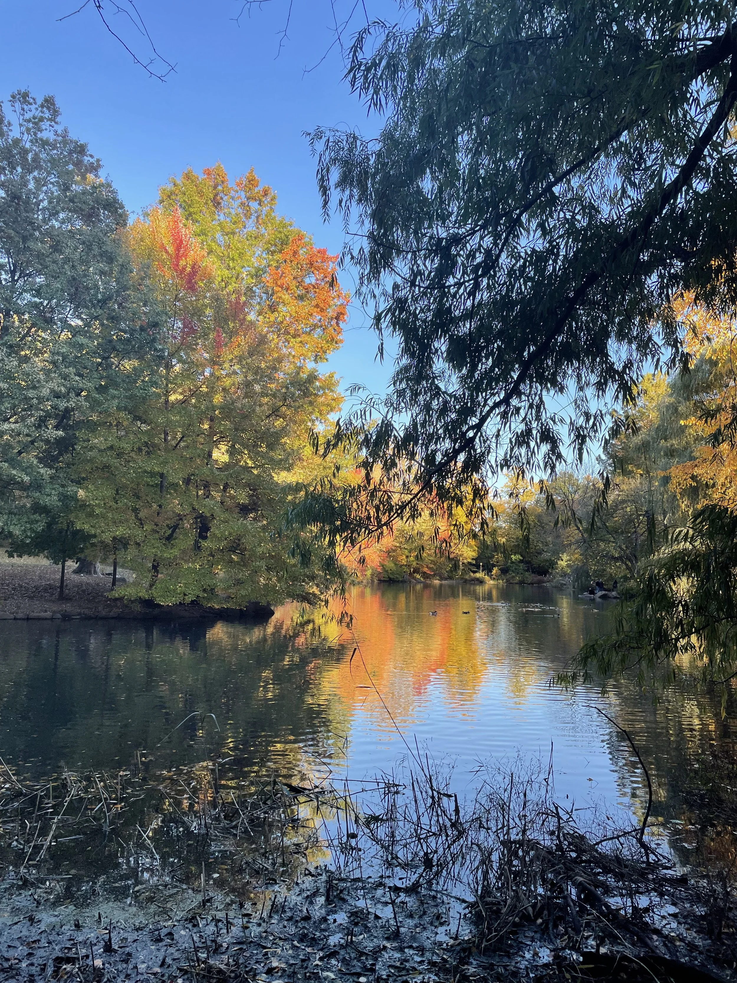 Major Spotlight: Environmental Studies