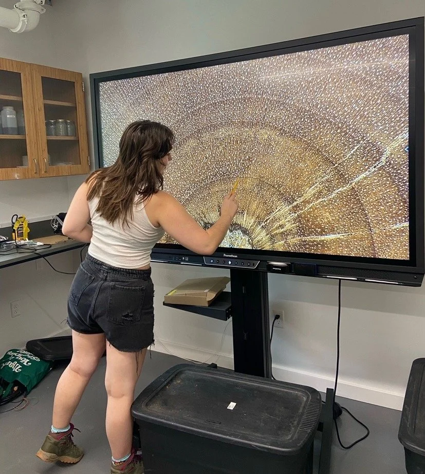 A Day in My Life in Barnard’s Summer Research Institute