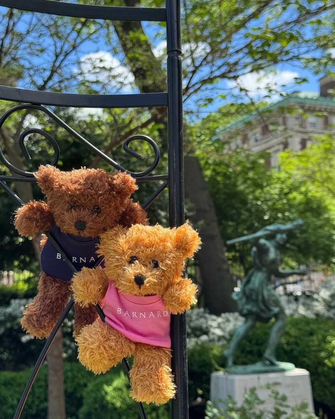 This past weekend Millie &amp; her friends soaked up the sunshine and explored all over campus ☀️🌳☀️