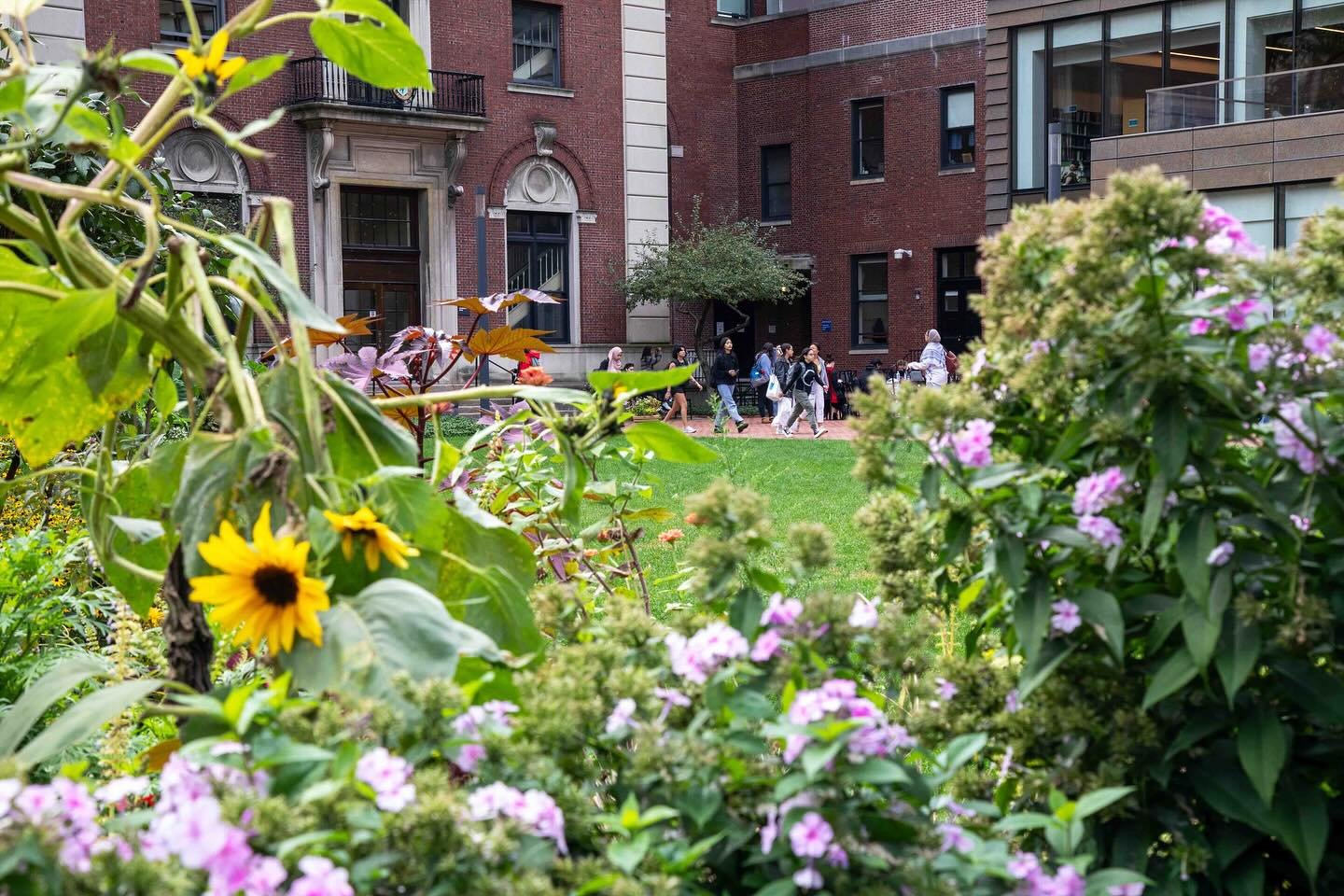 Barnard is a hub of activity in the summer, from students working at the summer research institute to high schoolers attending one of our pre-college programs- all within the beautiful historic campus in Morningside Heights🔬🌸🌻