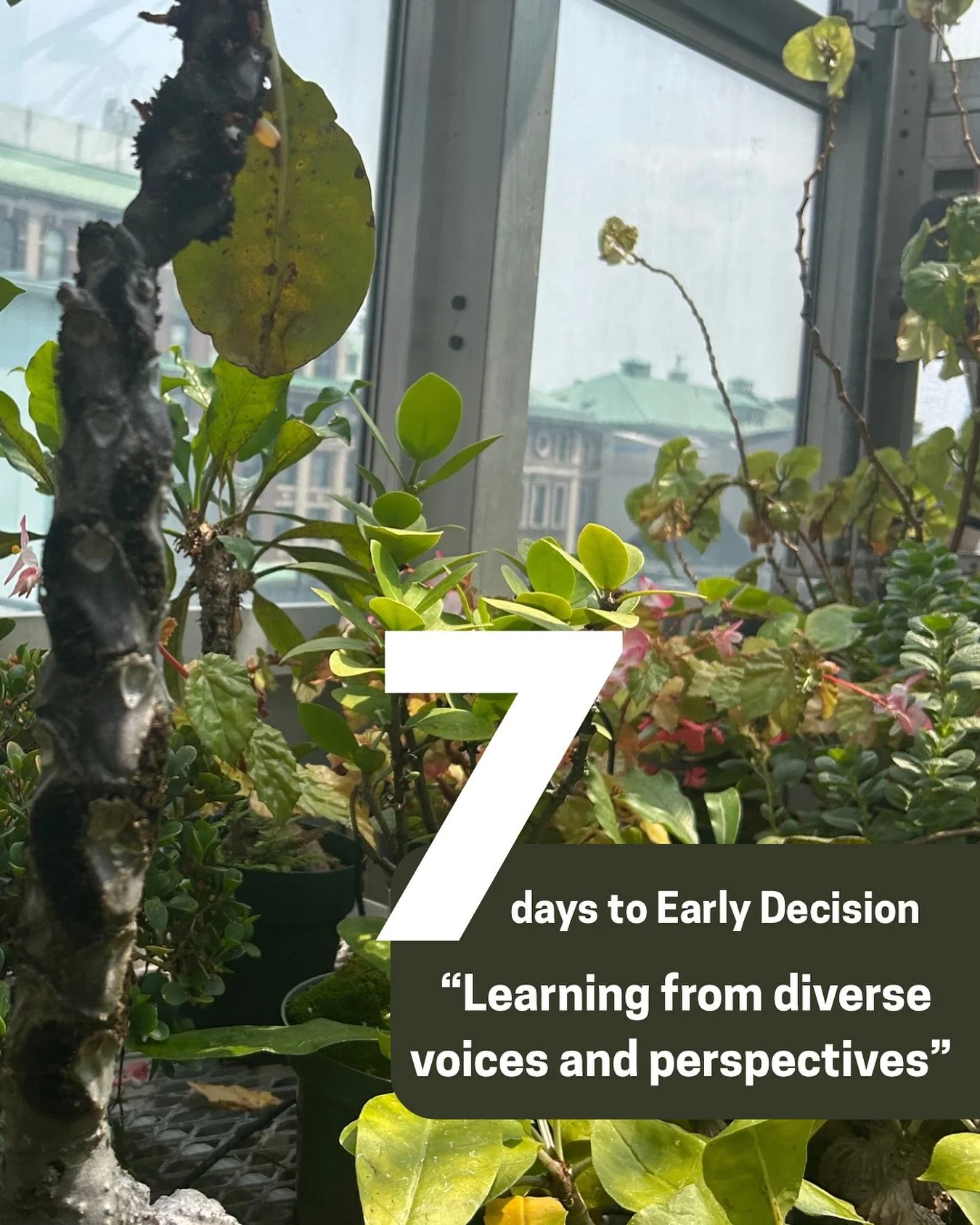 Are you considering applying to Barnard through our Early Decision round? We’re one week away and counting down the days until our deadline! Check in throughout the next week to see what current students have to say about the Barnard community.