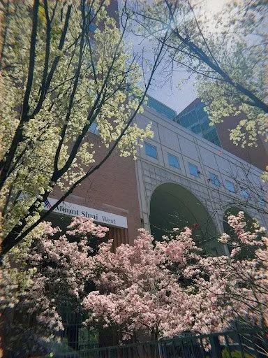 Clinical Opportunities in NYC