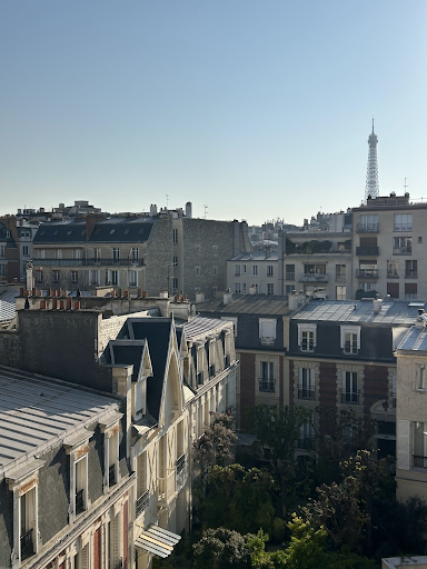 Major Spotlight: French