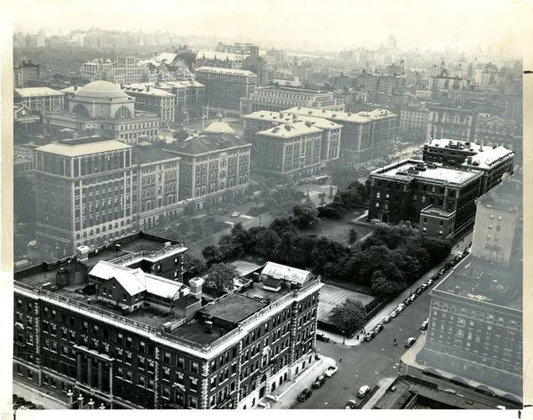 Major Spotlight: History