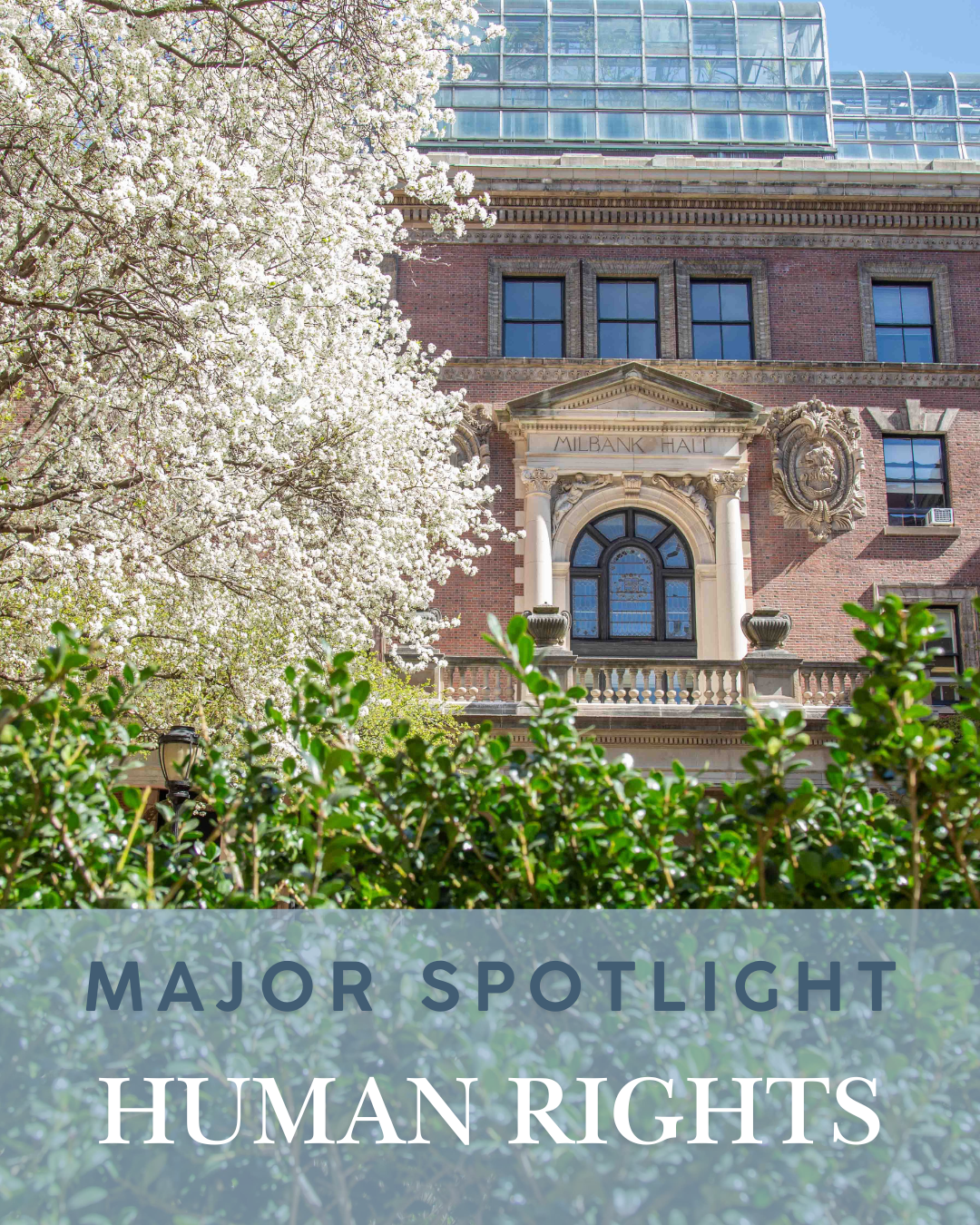 Major Spotlight: Human Rights