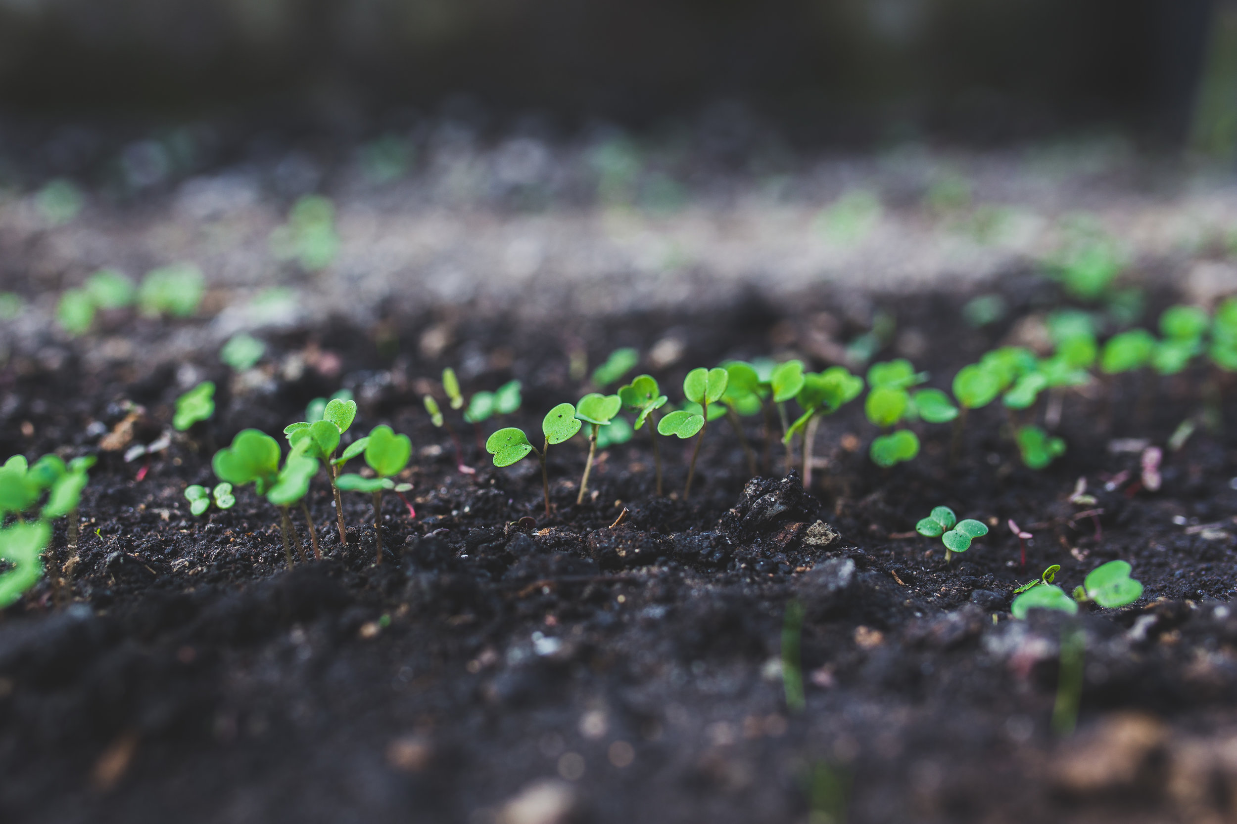 Grow