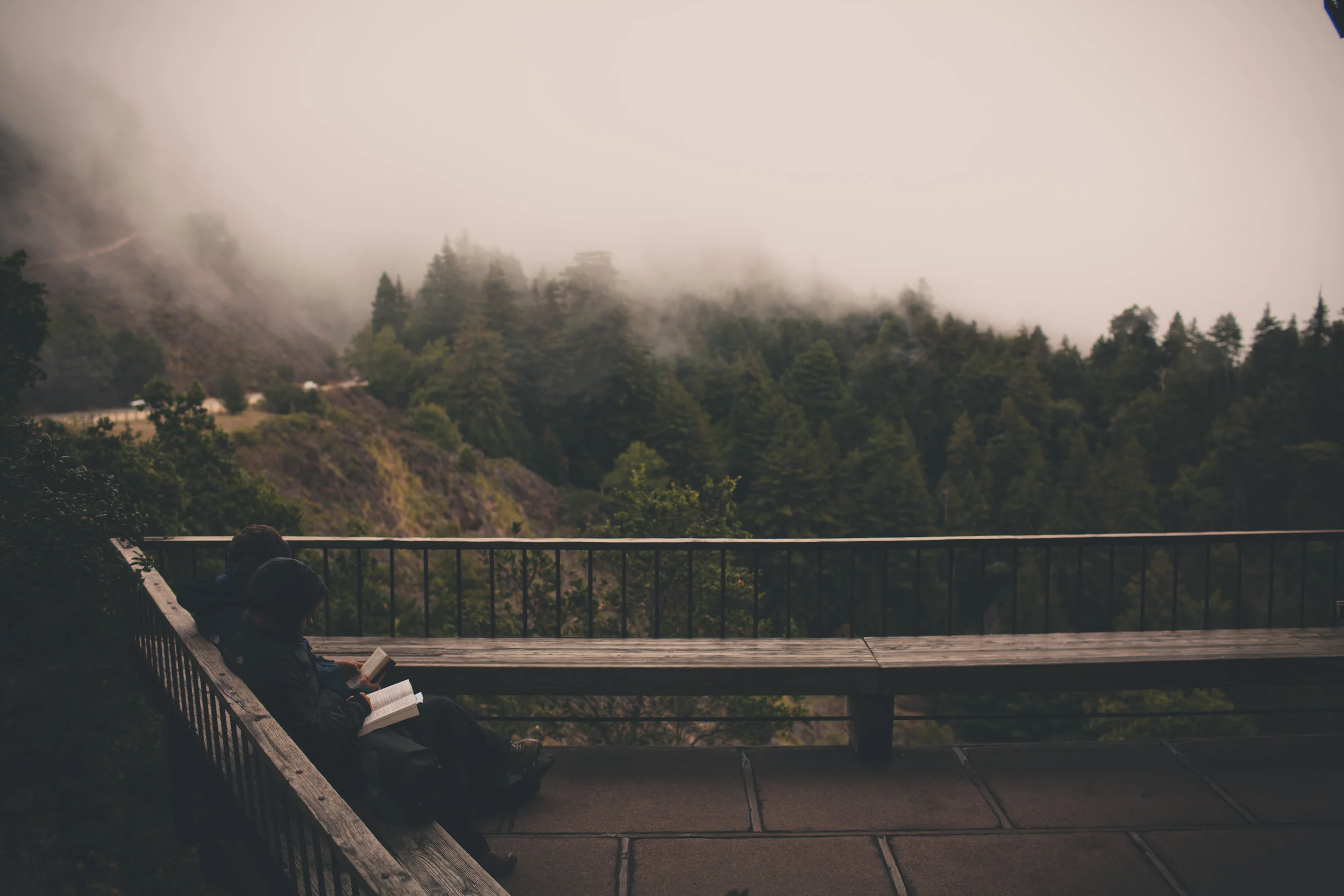 Sunday Mass Readings