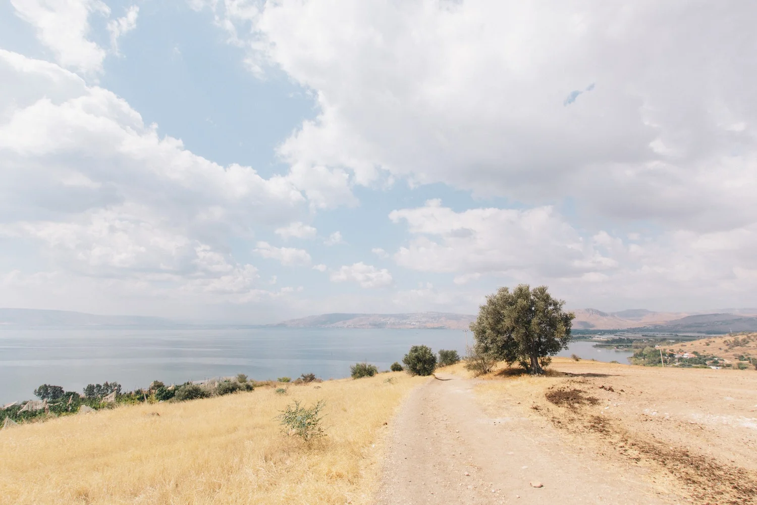 Beatitudes