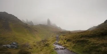 Weekly Agenda