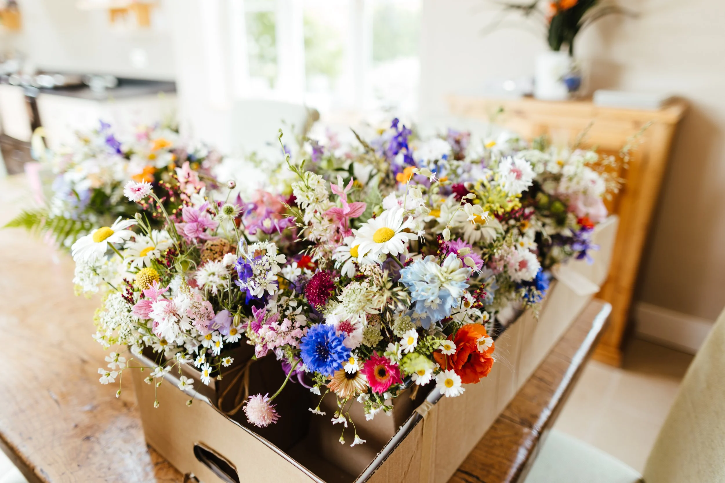 Rosie & Scotty-54.JPG