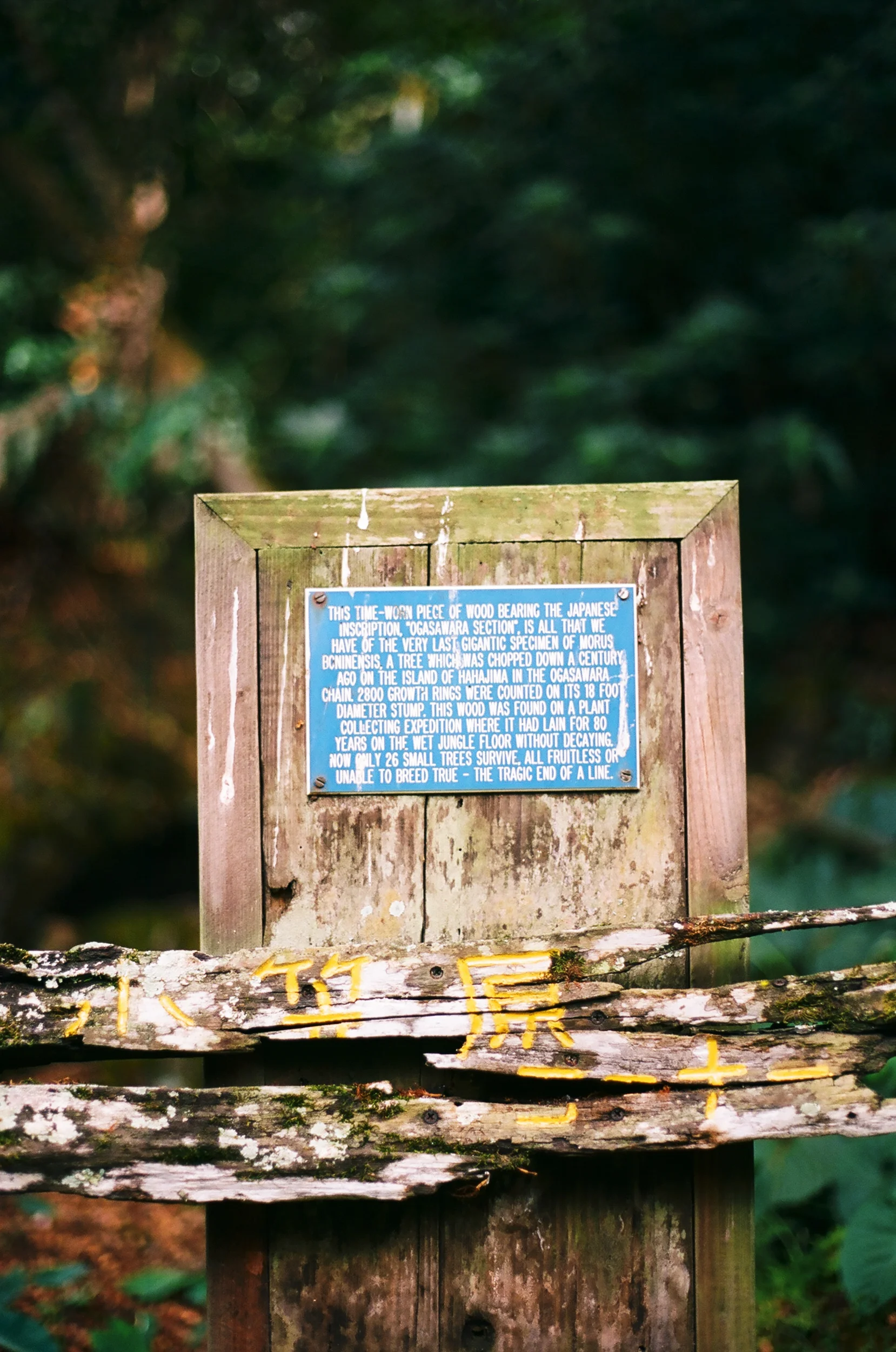 LerinaWinter-0084.jpg