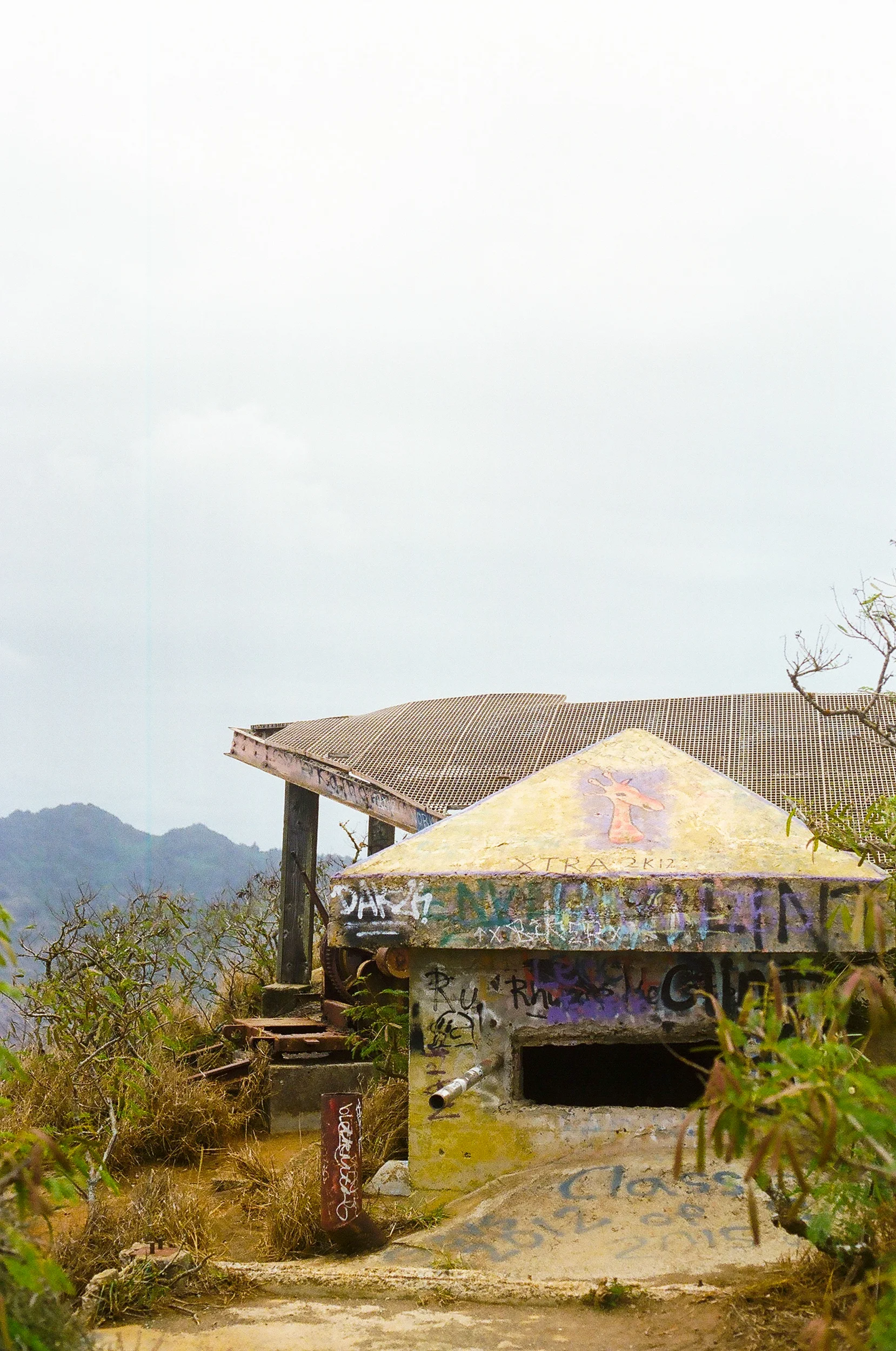 LerinaWinter-0094.jpg
