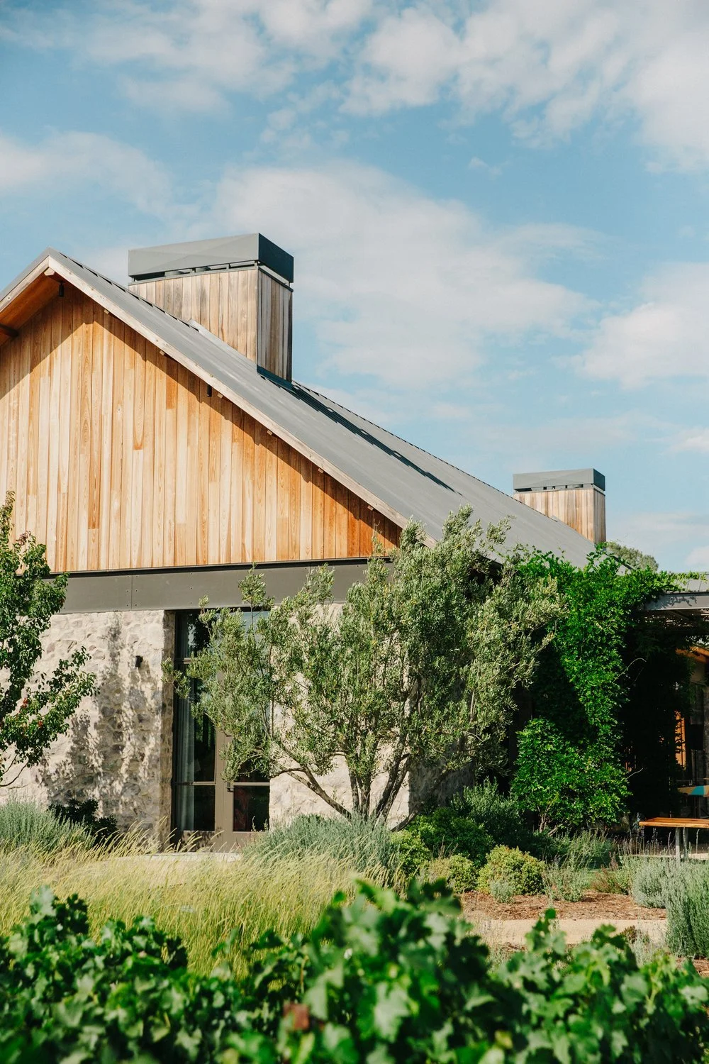 Amanda &amp; Elan's Brave &amp; Maiden Estate Wedding