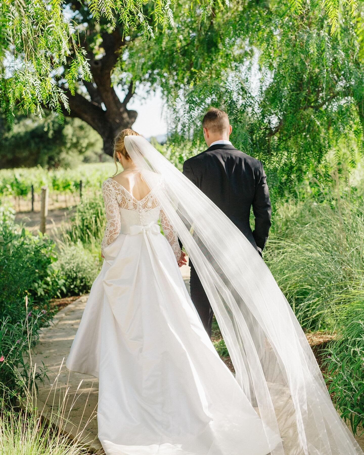 Sweet summer moments from Alexandria &amp; Rudy&rsquo;s elegant wedding last June at @roblarwinery ✨ can&rsquo;t wait to be back at this stunning space later this year!

Photography: @lerinawinterphoto
Planning: @kbeventssb
Venue: @roblarwinery
Flora