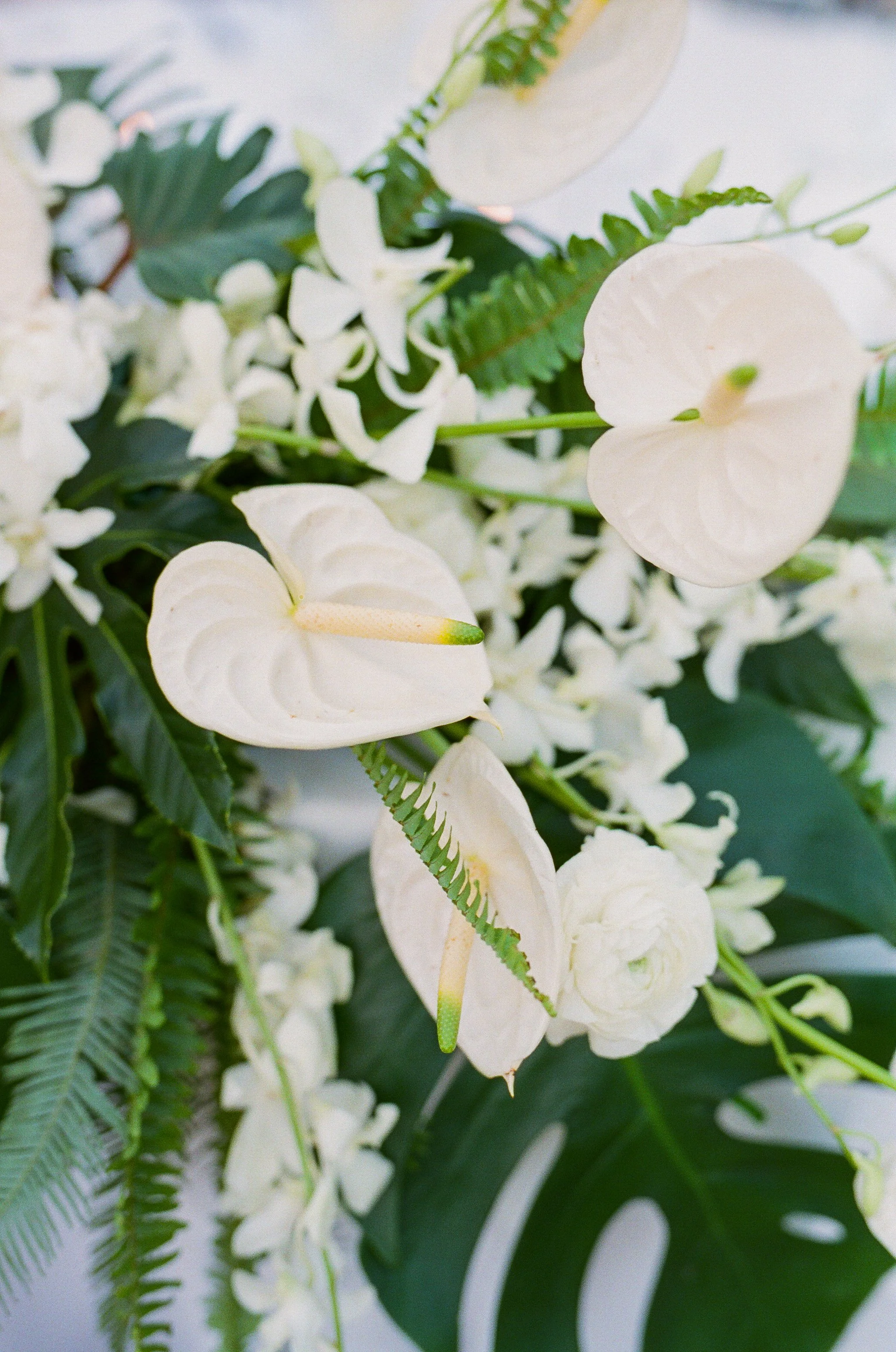 Tropical wedding florals