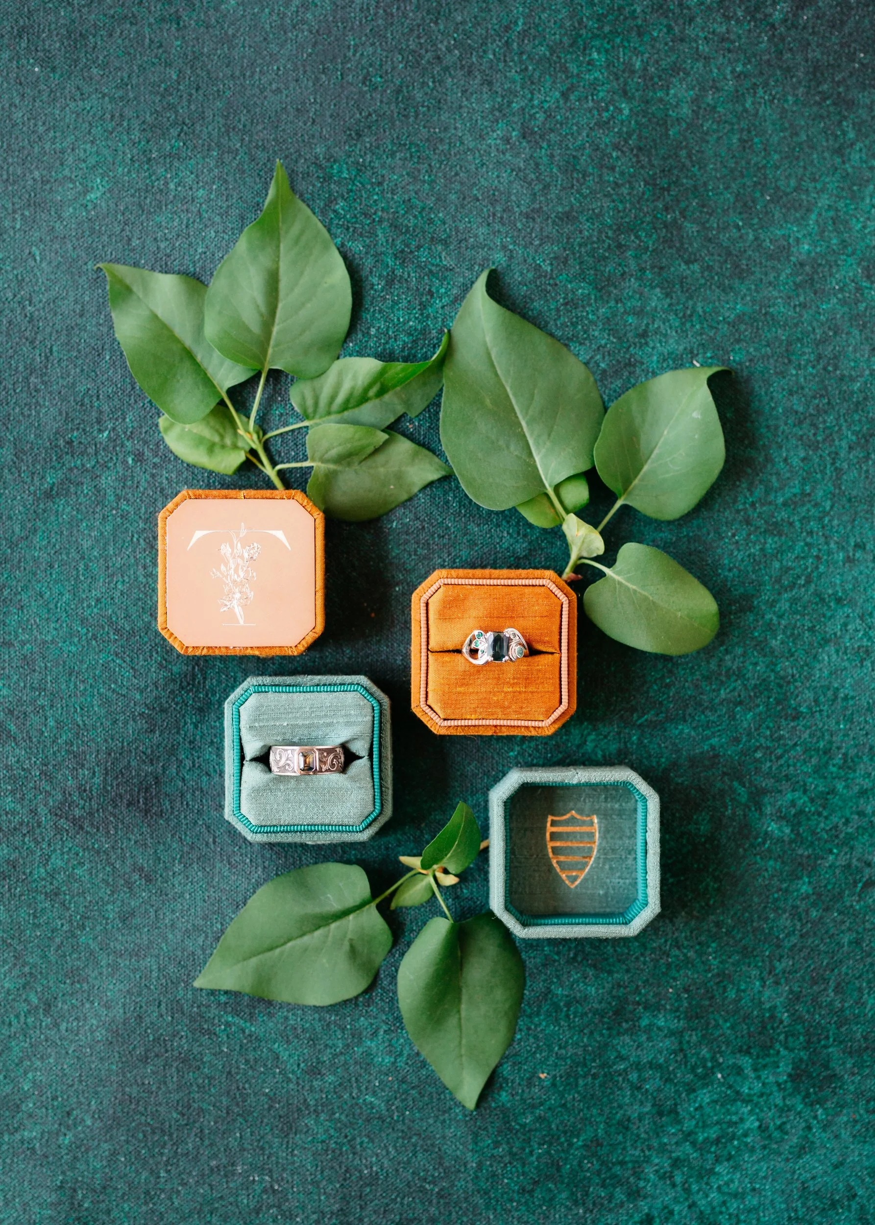 Arianna &amp; Shaun's Forest House Lodge Wedding