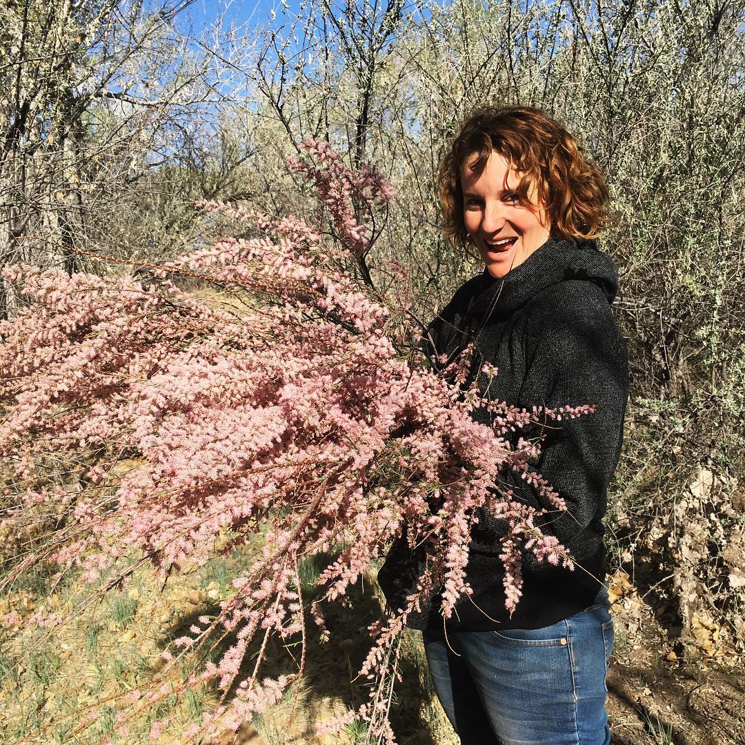 tamarisk harvest.jpg