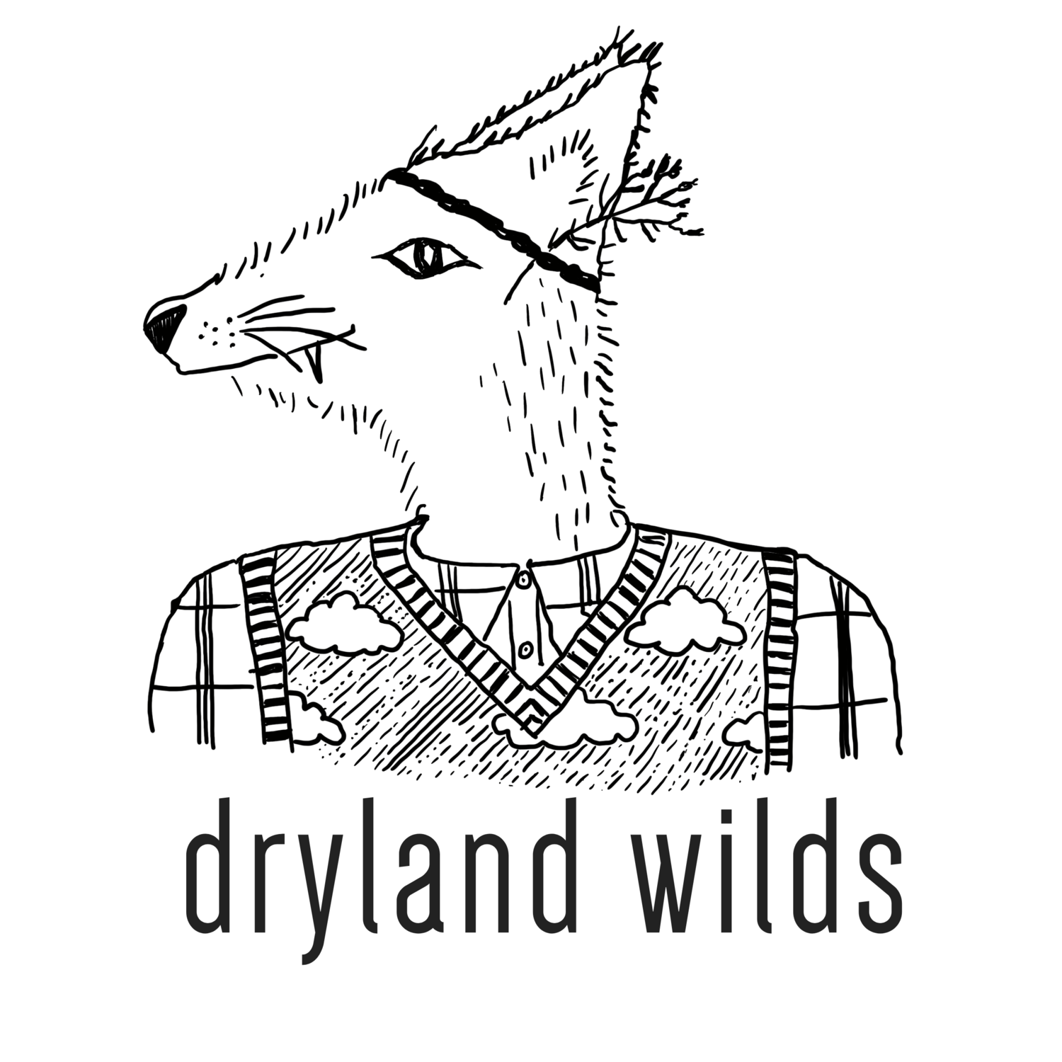 dryland wilds