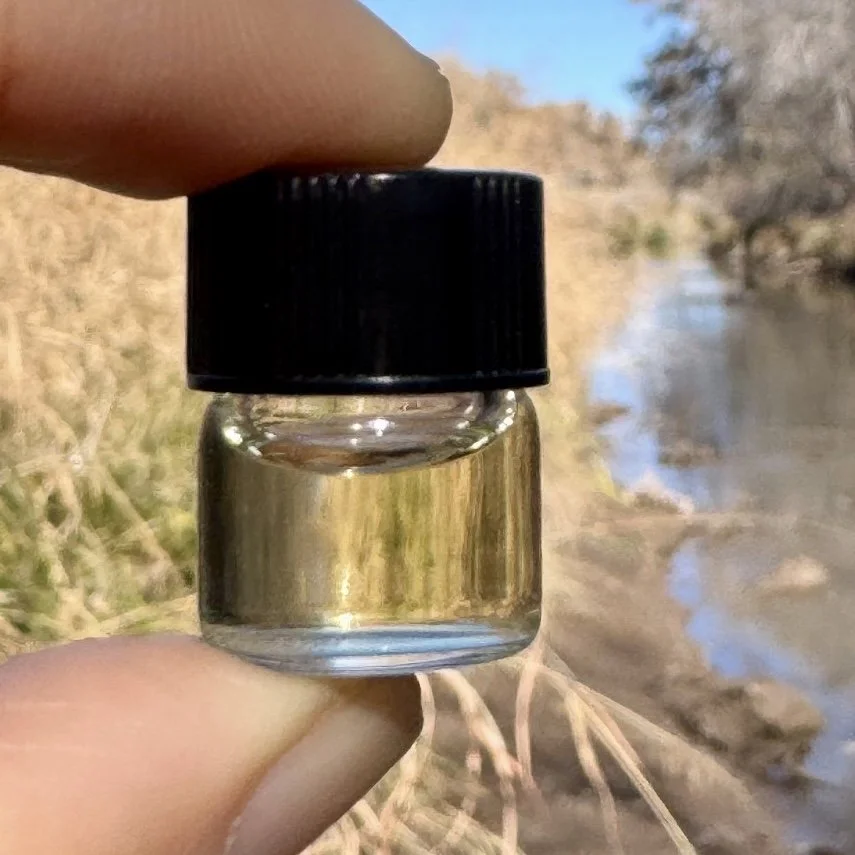 pure russian olive enfleurage absolute