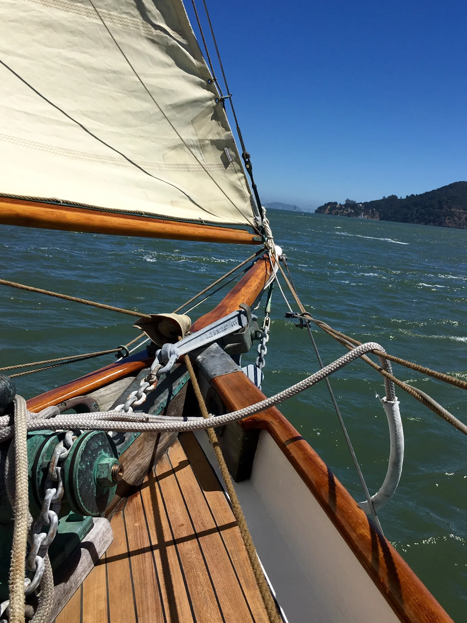 File Aug 08, 2 56 35 PM.jpeg