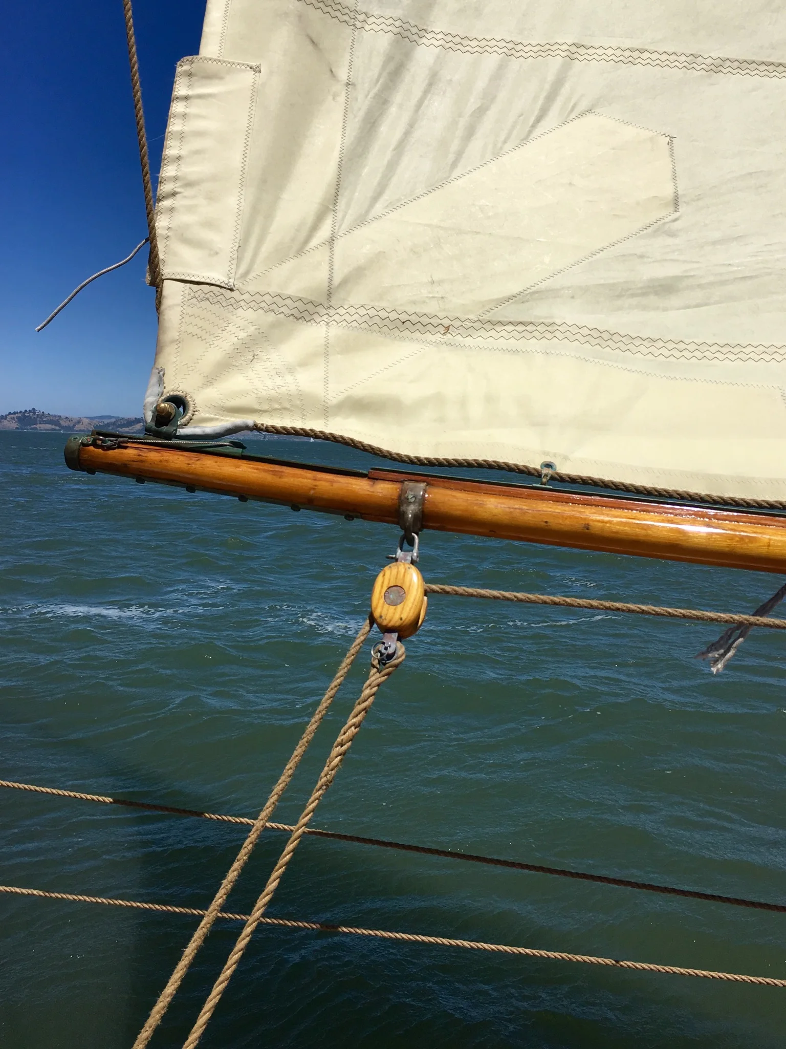 File Aug 08, 2 56 47 PM.jpeg