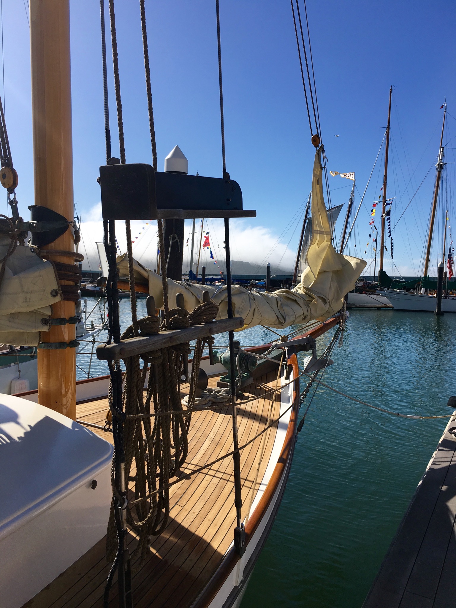 File Aug 08, 2 58 05 PM.jpeg