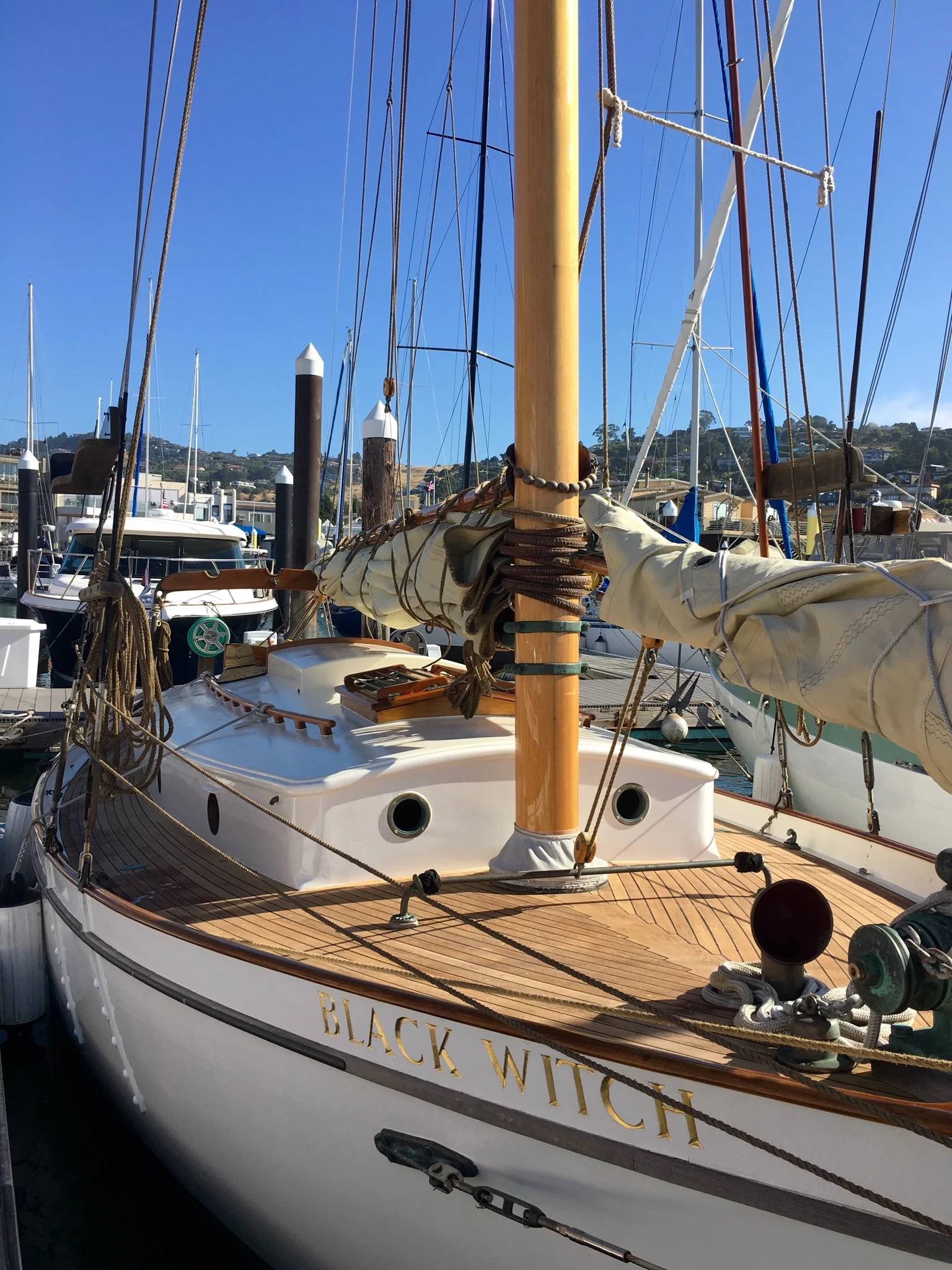 File Aug 08, 2 58 18 PM.jpeg