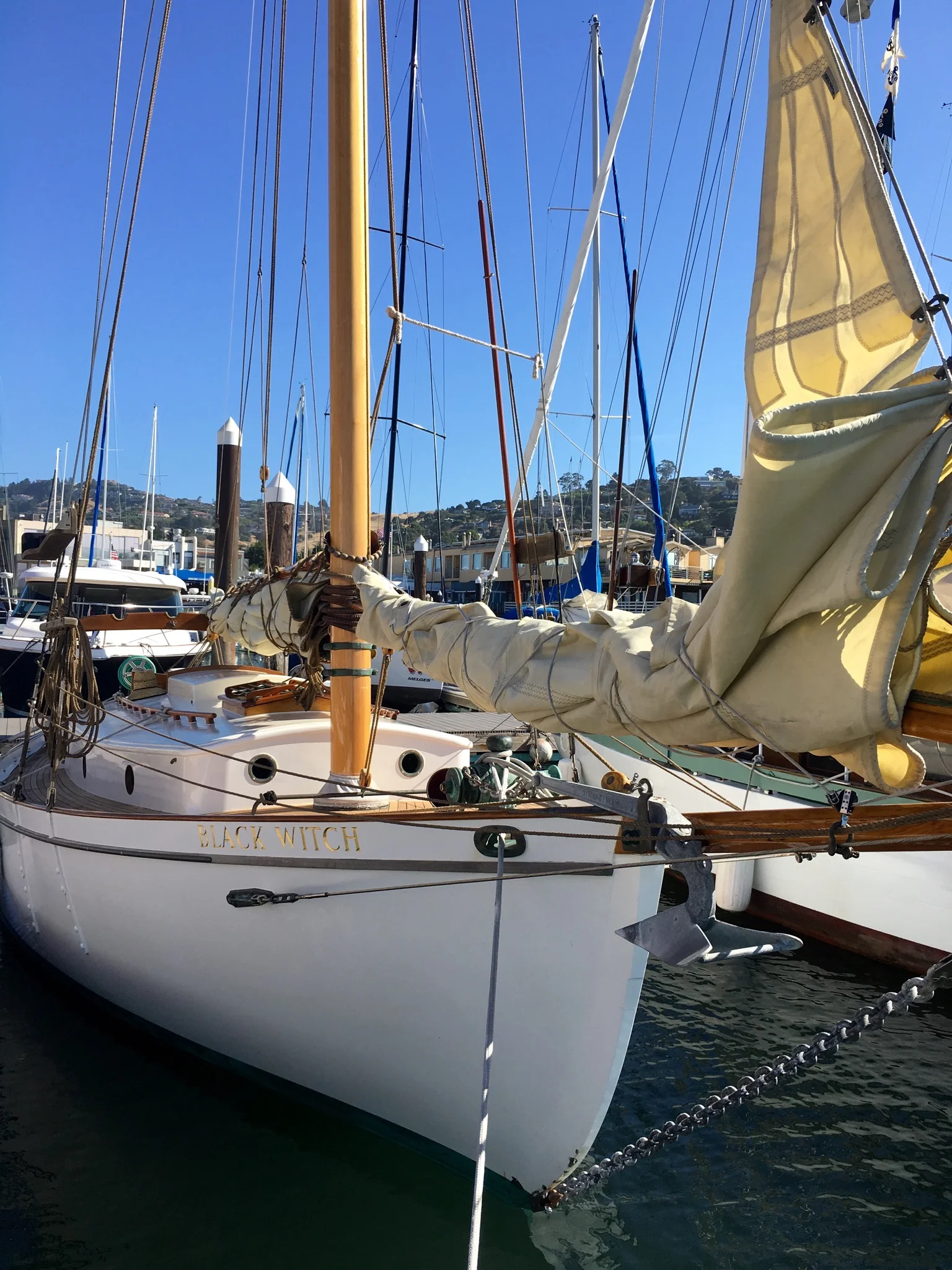 File Aug 08, 2 58 32 PM.jpeg