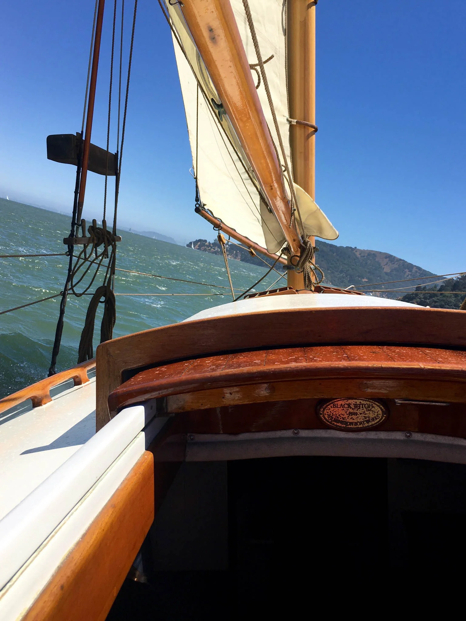 File Aug 08, 3 10 03 PM.jpeg