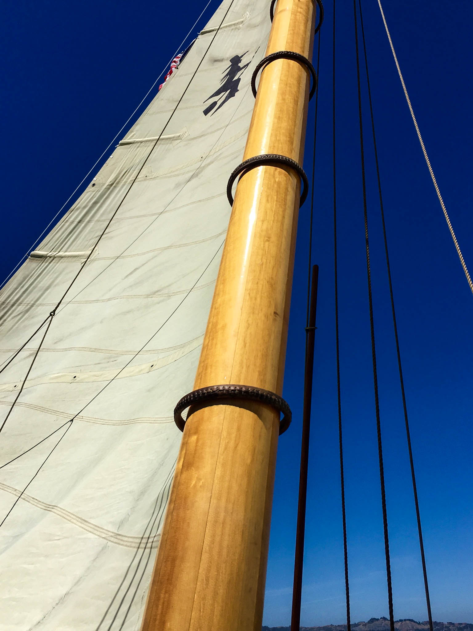 File Aug 08, 3 10 13 PM.jpeg