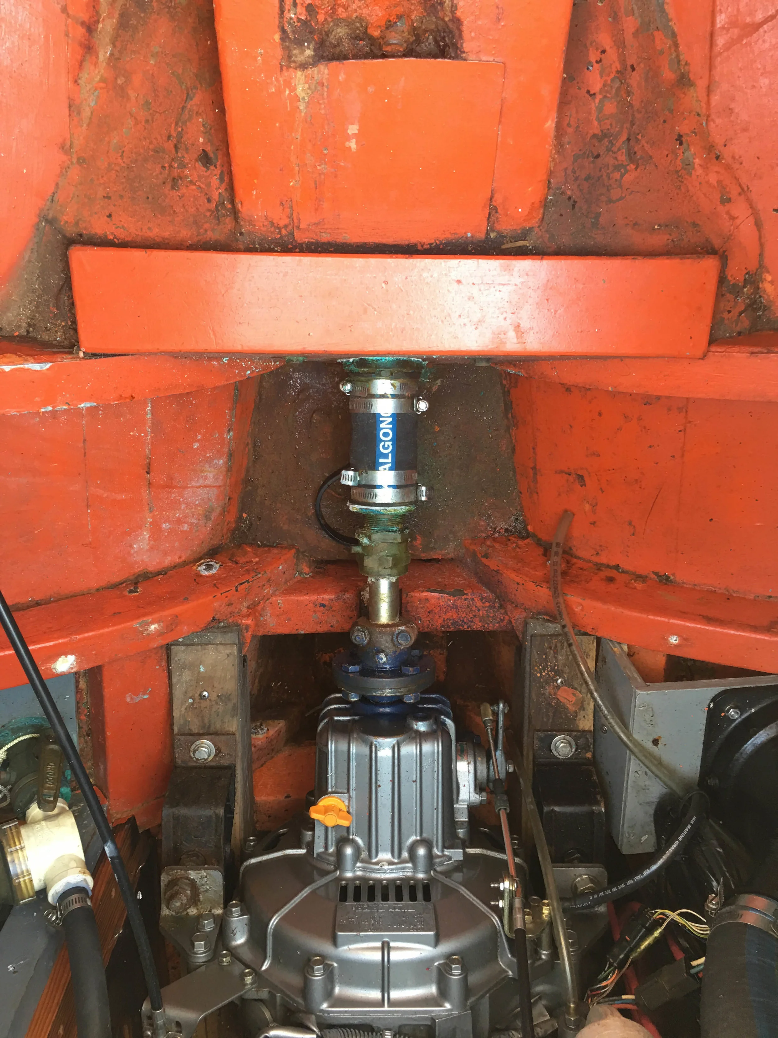 File Aug 08, 3 10 03 PM.jpeg