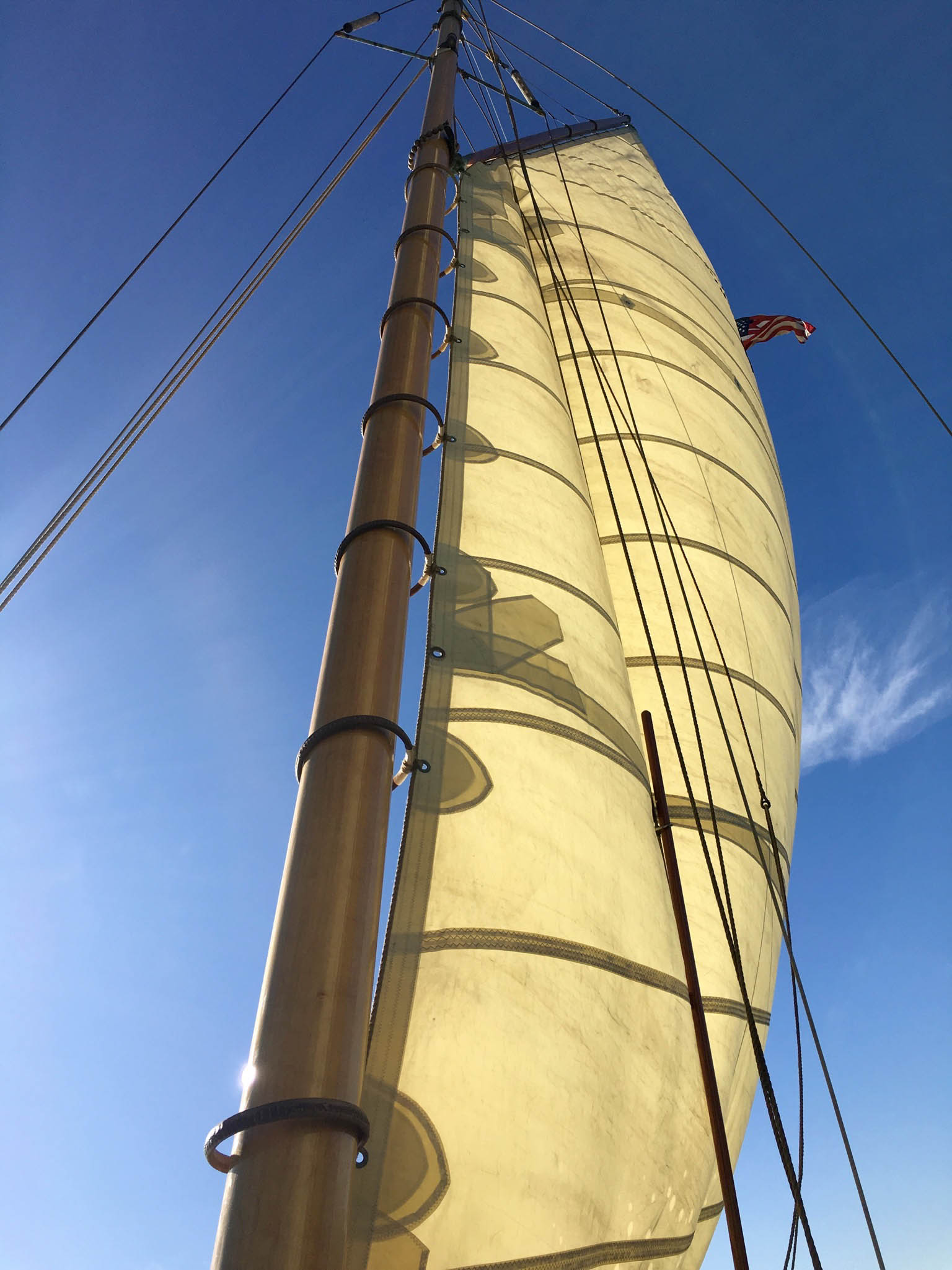 File Aug 08, 3 10 03 PM.jpeg