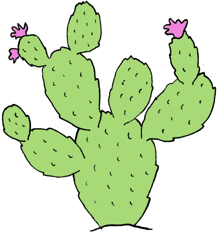 At least I didn't get pricked by a cactus! Always look on the sunny side of things.