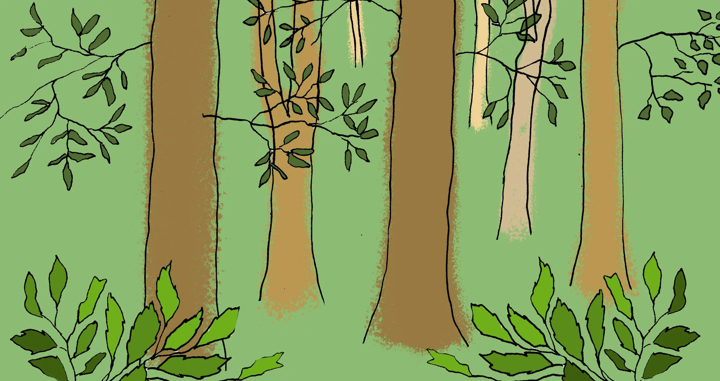 forestbathing.jpg
