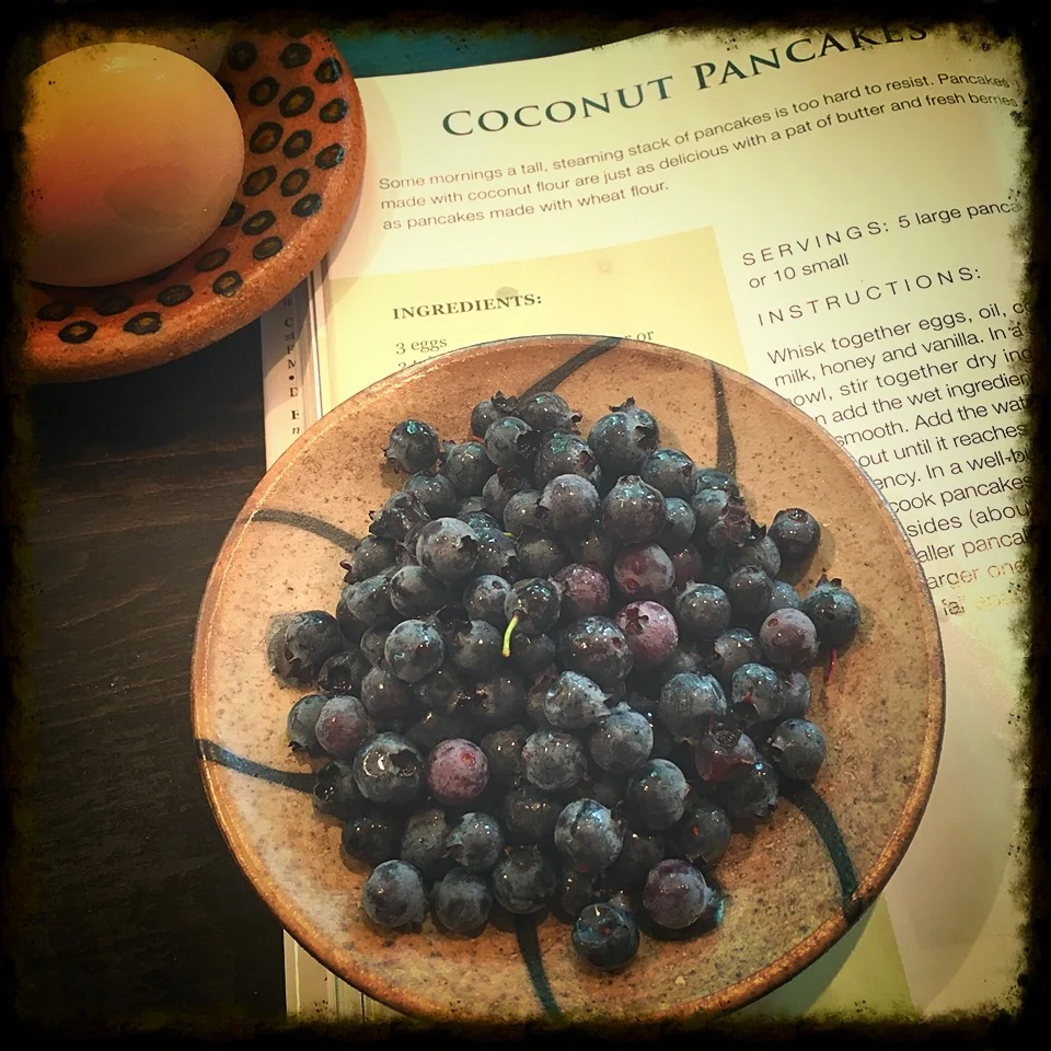 Coconut Pancake recipe from the Primal Blueprint Cookbook .