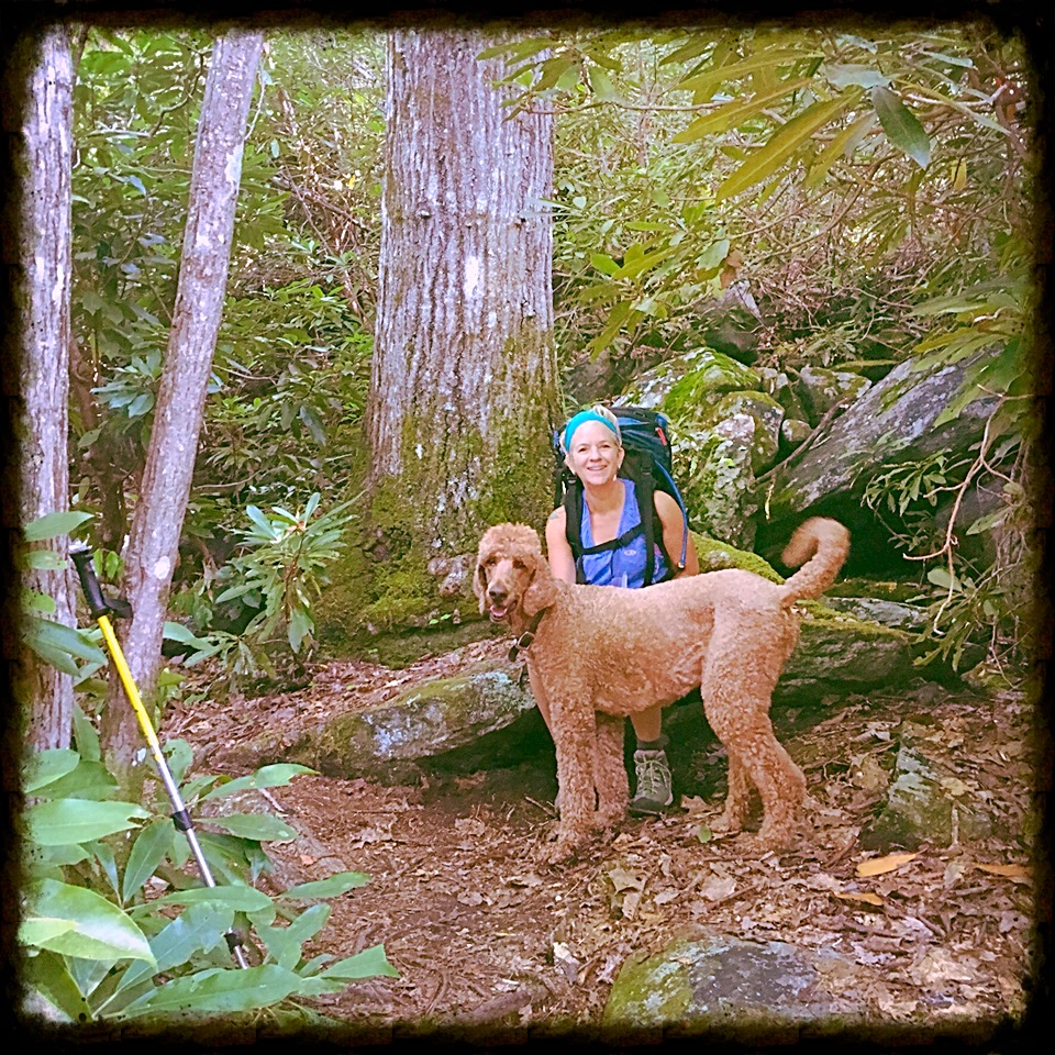 Reflections on Fear...Meet Dick.