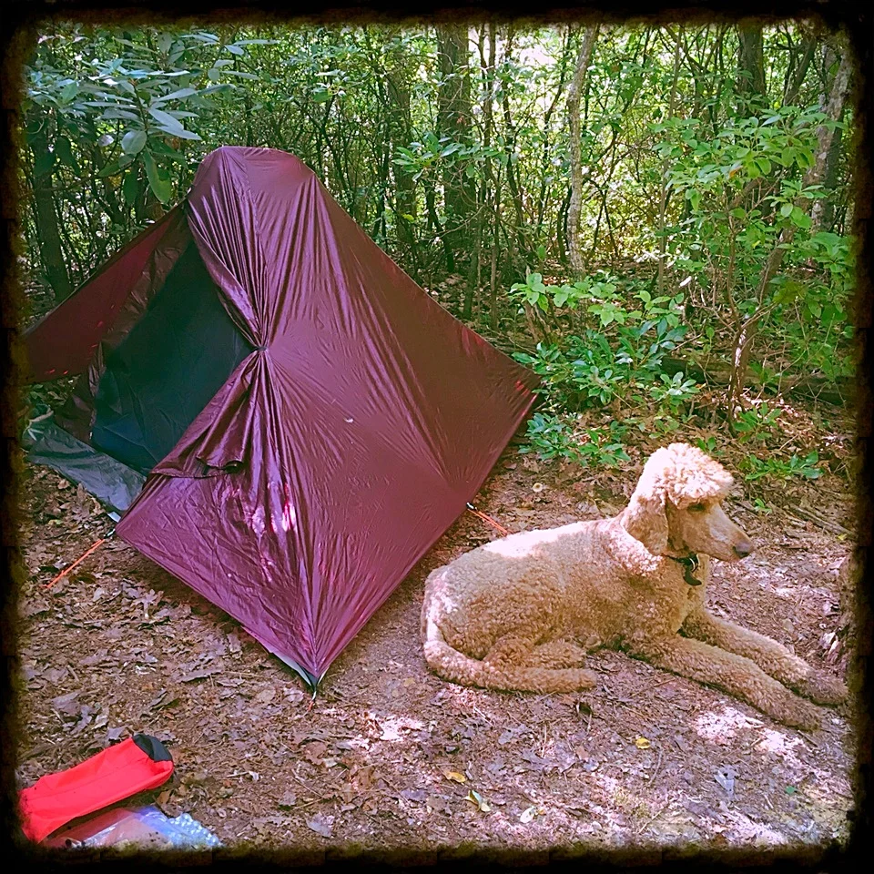 Gear Review:  Lightheart Solo Tent
