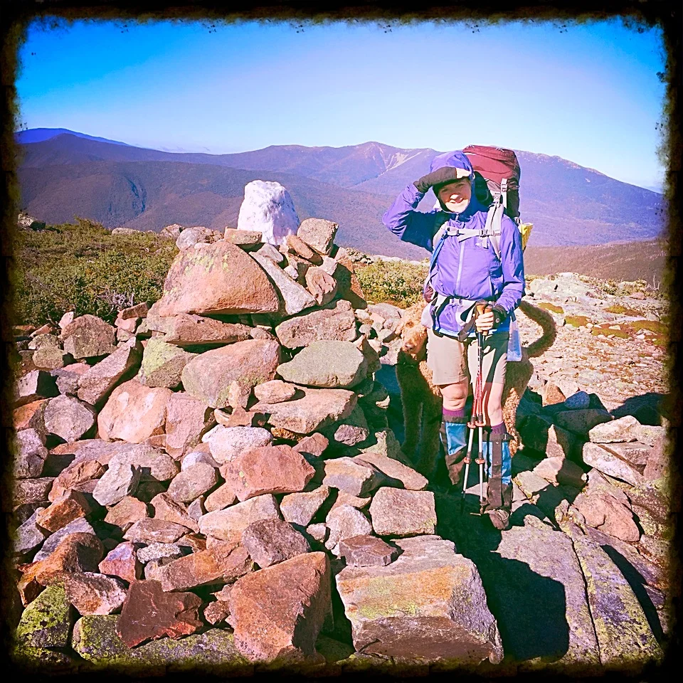 Guyot rock pile.