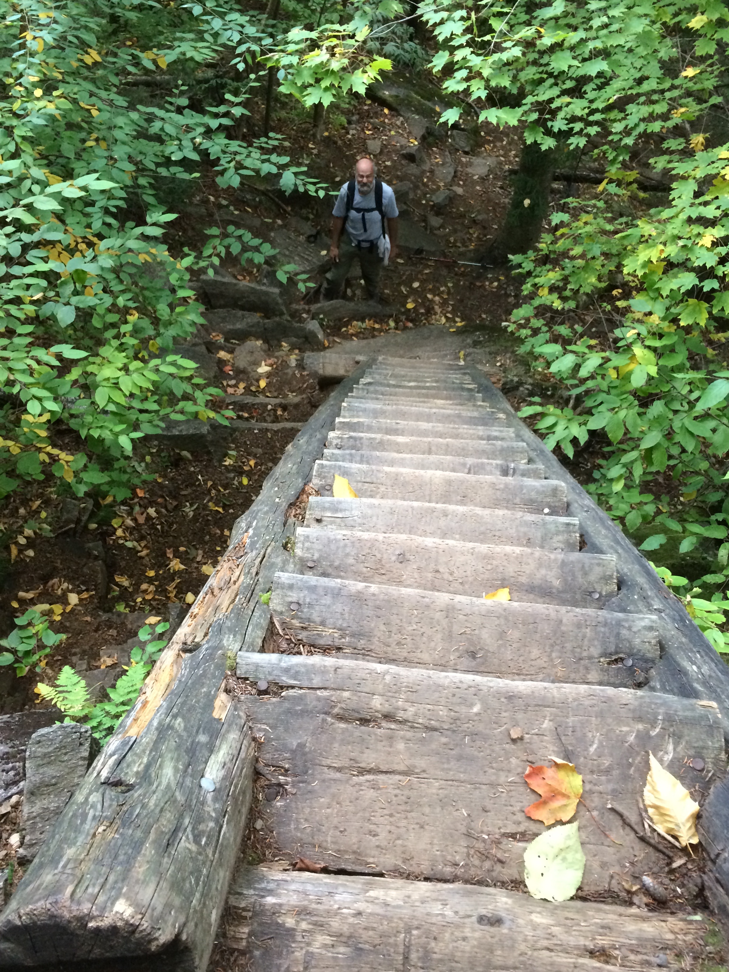 Typical White Mountain ladder...this was on the Boott Spur Trail in 2014