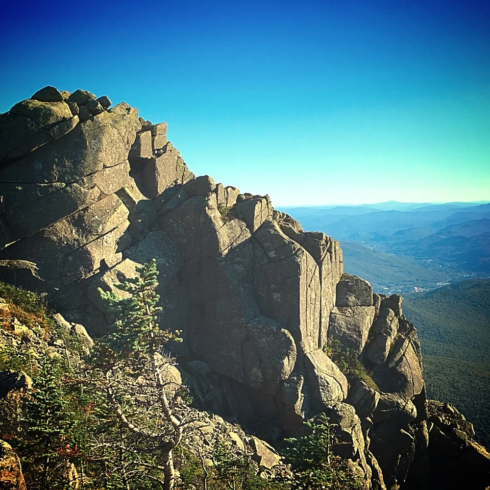 Friday Fave:  Mount Liberty!